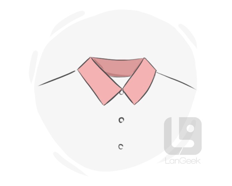 Collared shop shirt definition