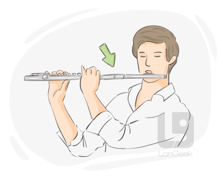 flautist definition and meaning