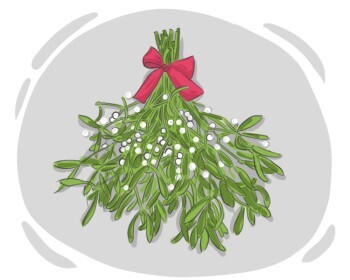 mistletoe