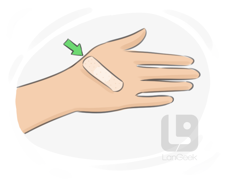adhesive bandage definition and meaning