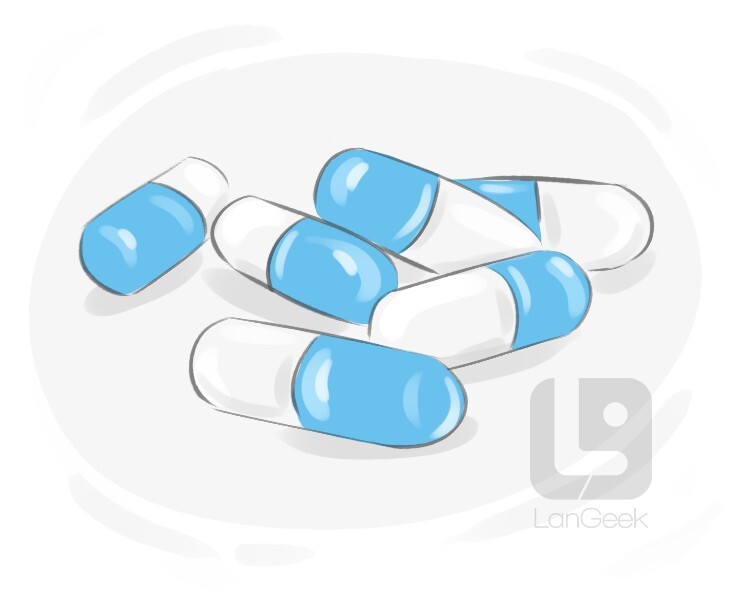 Definition & Meaning of "Capsule" LanGeek