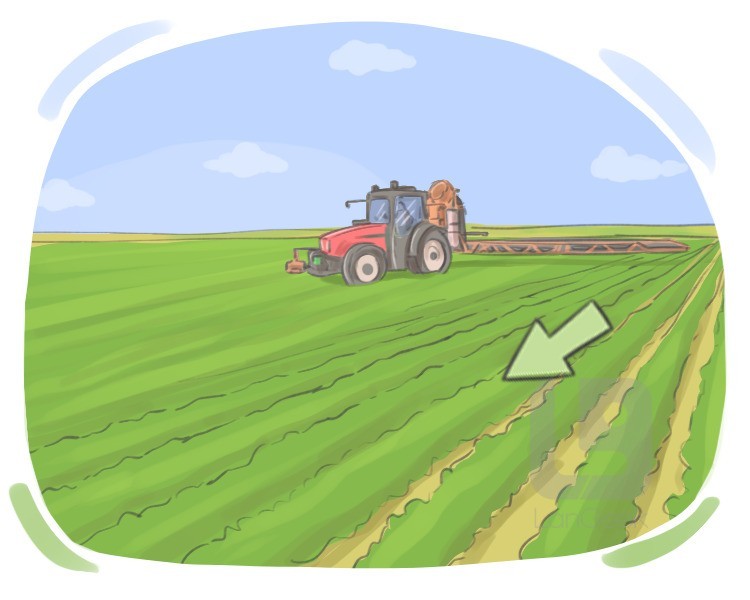 crop definition and meaning