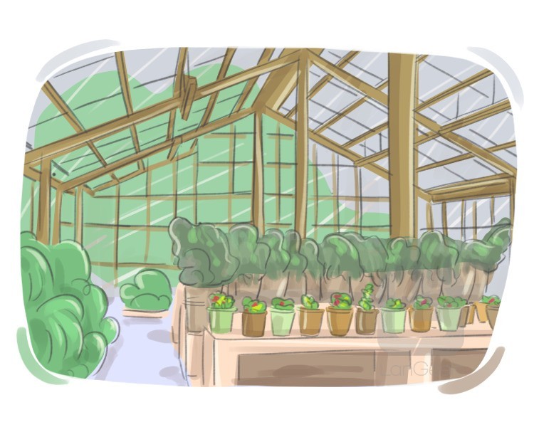 glasshouse definition and meaning