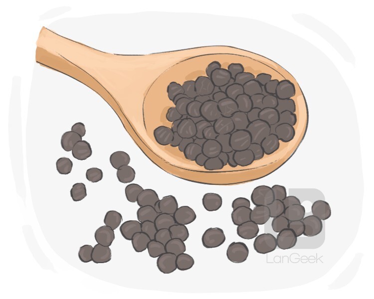 black pepper definition and meaning