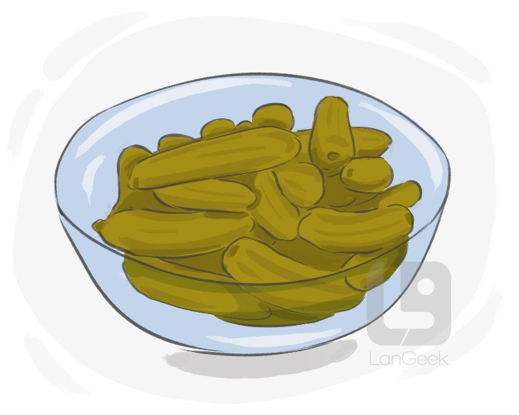 dill pickle definition and meaning