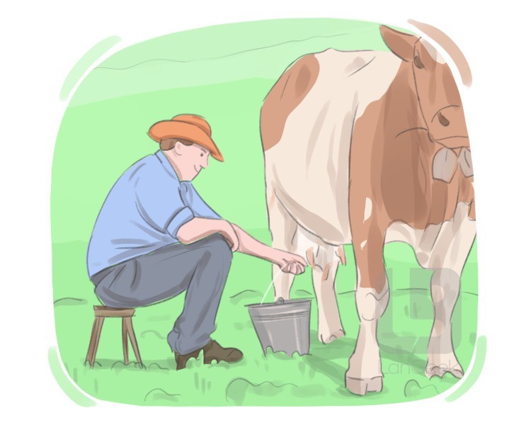 to milk definition and meaning
