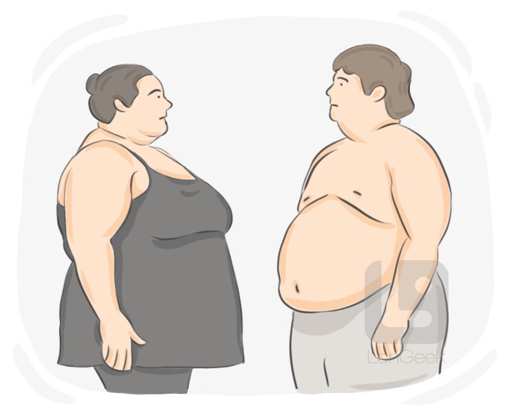 obesity definition and meaning