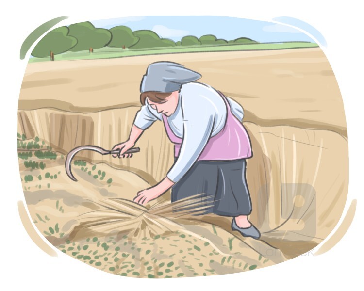 definition-meaning-of-harvest-langeek