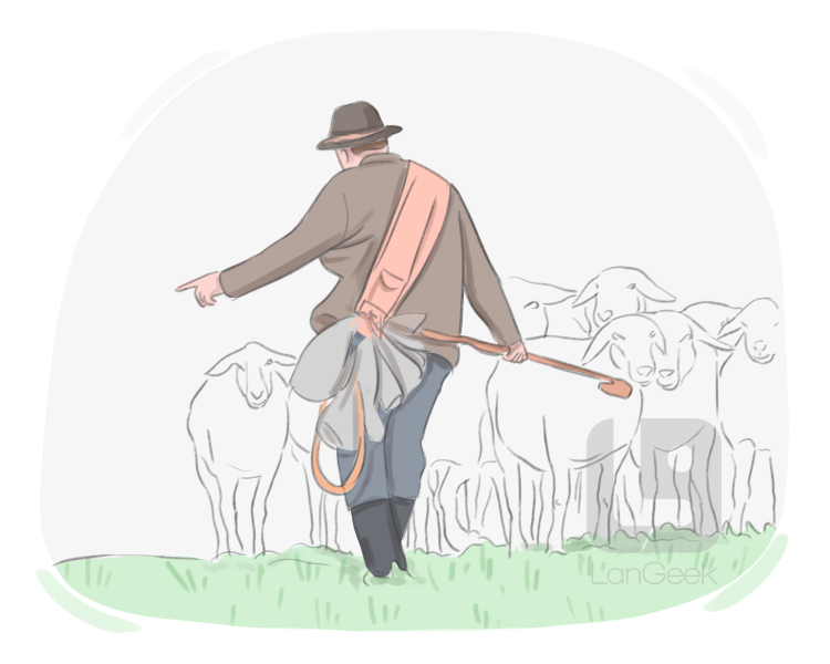 shepherding definition and meaning