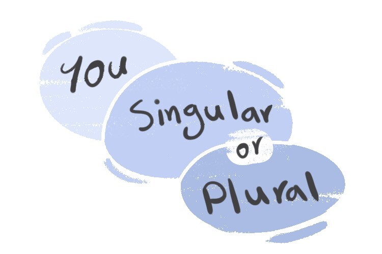 The Difference Between Singular And Plural you LanGeek