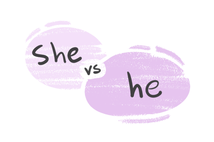 She Vs He In The English Grammar Langeek