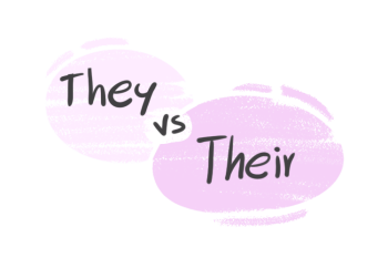 "They" vs. "Their" in the English Grammar