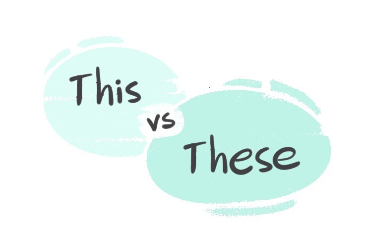 these vs theses