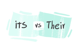 "Its" vs. "Their" in the English Grammar