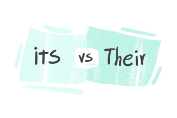 "Its" vs. "Their" in the English Grammar