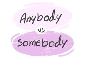 "Anybody" vs. "Somebody" in the English Grammar