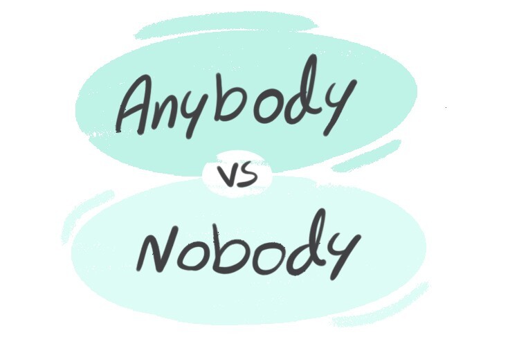 Anybody vs. Nobody in the English Grammar