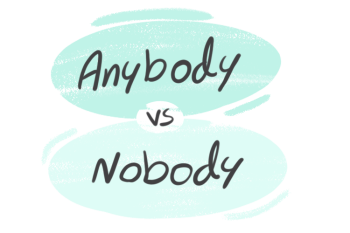 "Anybody" vs. "Nobody" in the English Grammar