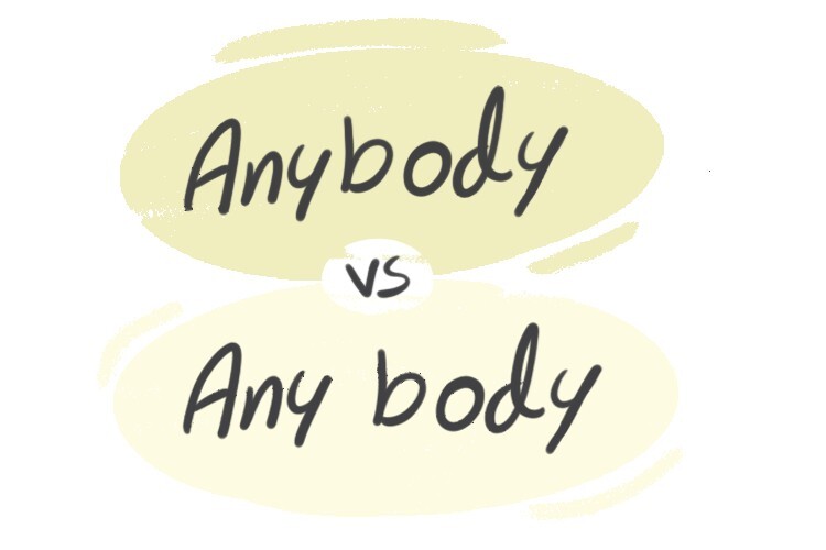 anybody-vs-any-body-in-the-english-grammar-langeek