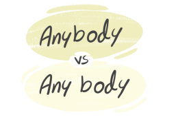 &ldquo;Anybody&rdquo; vs. &ldquo;Nobody&rdquo; in the English Grammar | LanGeek