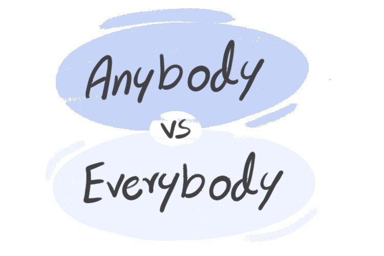 anybody-vs-everybody-in-the-english-grammar-langeek