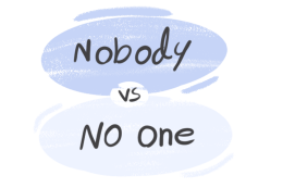 "Nobody" vs. "No One" in the English Grammar