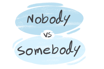 "Nobody" vs. "Somebody" in the English Grammar