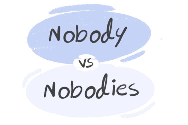 Nobody vs. No Body in the English Grammar