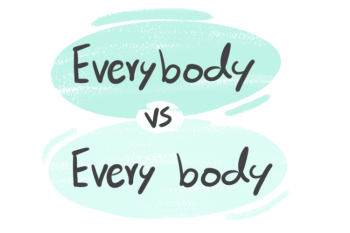"Everybody" vs. "Every Body" in English Grammar