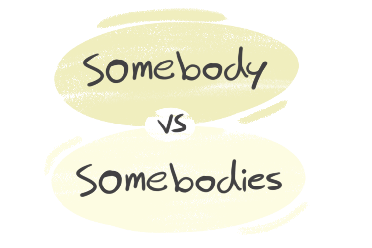 "Somebody" vs. "Somebodies" in English Grammar