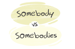 "Somebody" vs. "Somebodies" in English Grammar