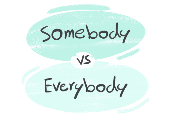 "Somebody" vs. "Everybody" in English Grammar