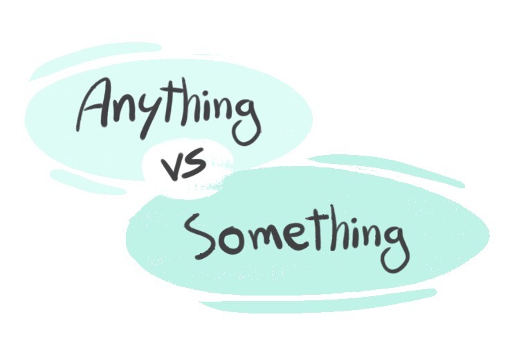 anything-vs-something-in-english-grammar-langeek