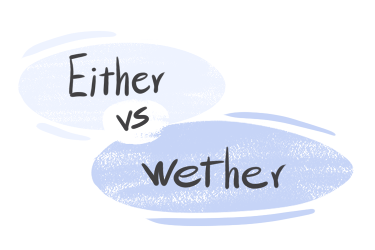 "Either" vs. "Whether" in the English Grammar