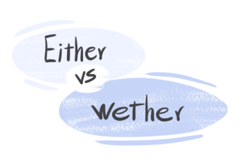 "Either" vs. "Whether" in the English Grammar