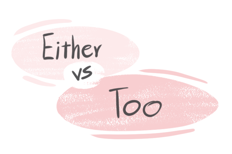 "Either" vs. "Too" in the English Grammar