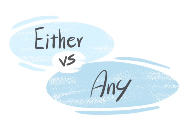 "Either" vs. "Any" in the English Grammar