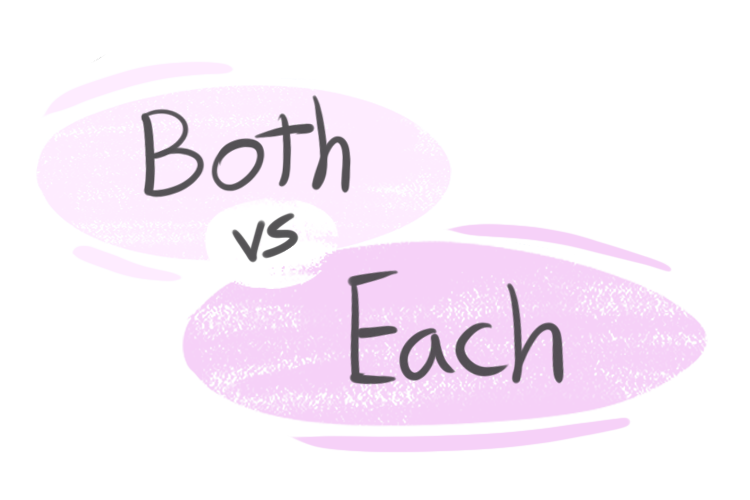 "Both" vs. "Each" in the English Grammar