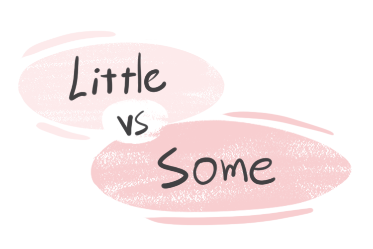 "Little" vs. "Some" in the English Grammar