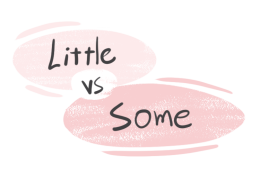 "Little" vs. "Some" in the English Grammar