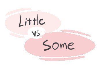 "Little" vs. "Some" in the English Grammar