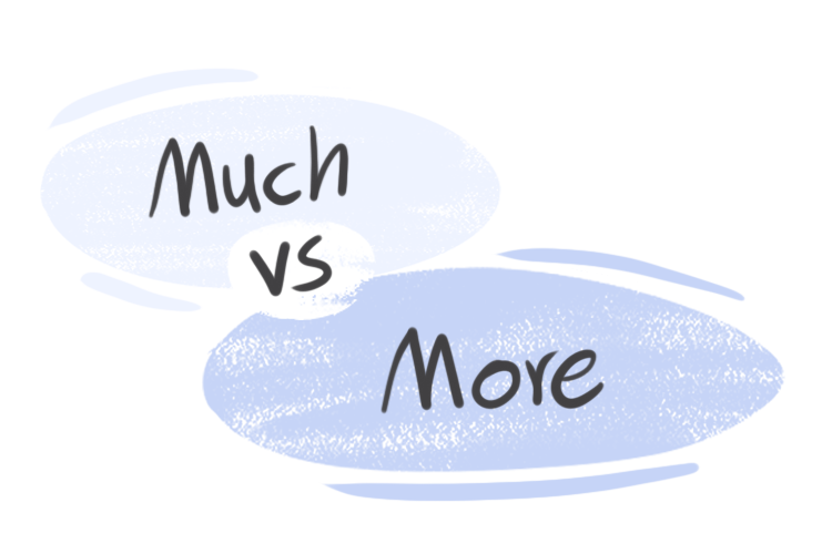 "Much" vs. "More" in the English Grammar