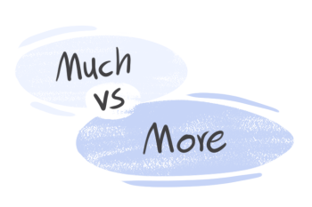 "Much" vs. "More" in the English Grammar