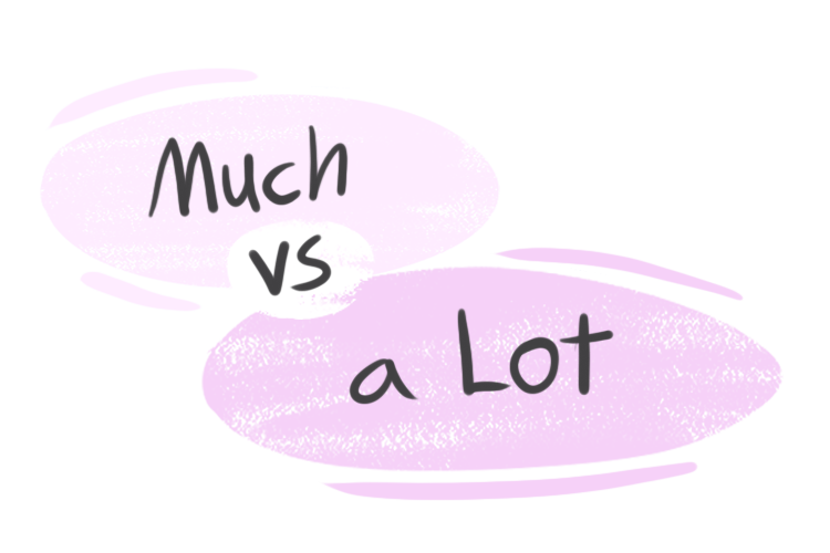 "Much" vs. "a Lot" in the English Grammar