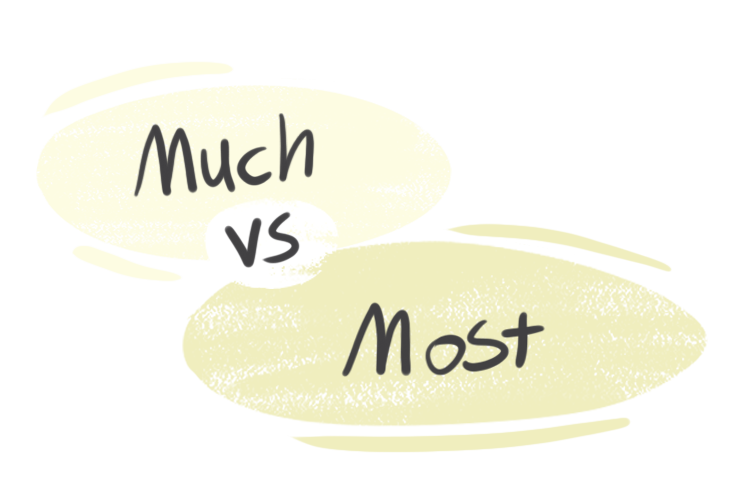 "Much" vs. "Most" in the English Grammar