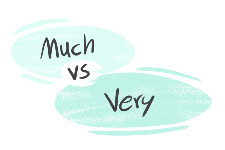 "Much" vs. "Very" in the English Grammar