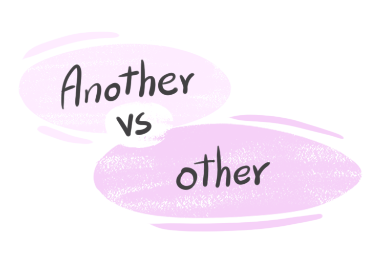 "Another" vs. "Other" in the English Grammar