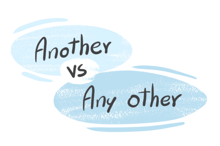 "Another" vs. "Any Other" in the English Grammar