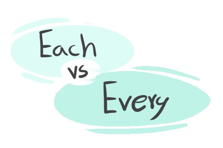 Every Vs All Vs Each