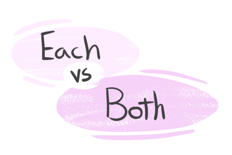 "Each" vs. "Both" in the English Grammar